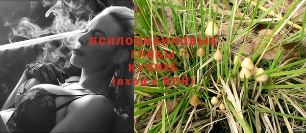 мет Армянск