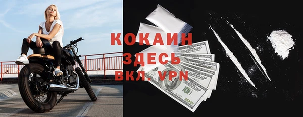 индика Аркадак
