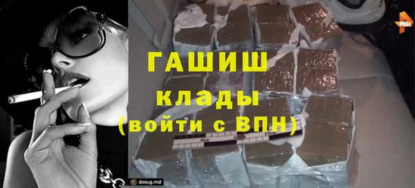 индика Аркадак