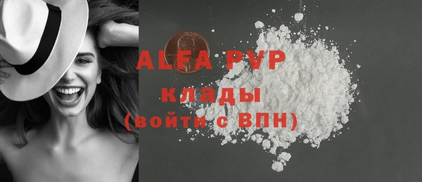 индика Аркадак