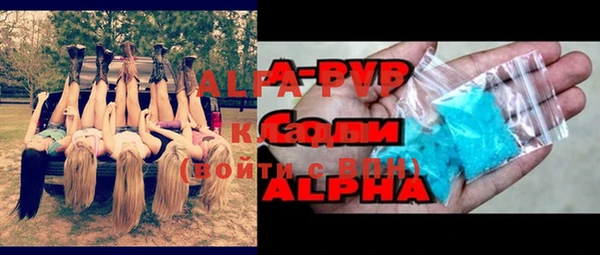 индика Аркадак