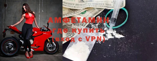 индика Аркадак