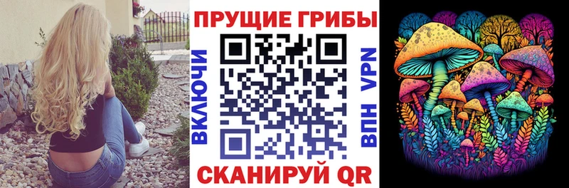 Галлюциногенные грибы Psilocybine cubensis  Североморск 